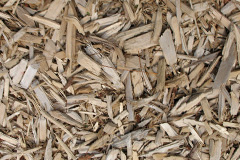 biomass boilers Fritton
